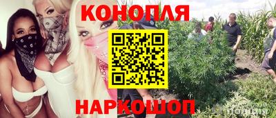 герыч Можга